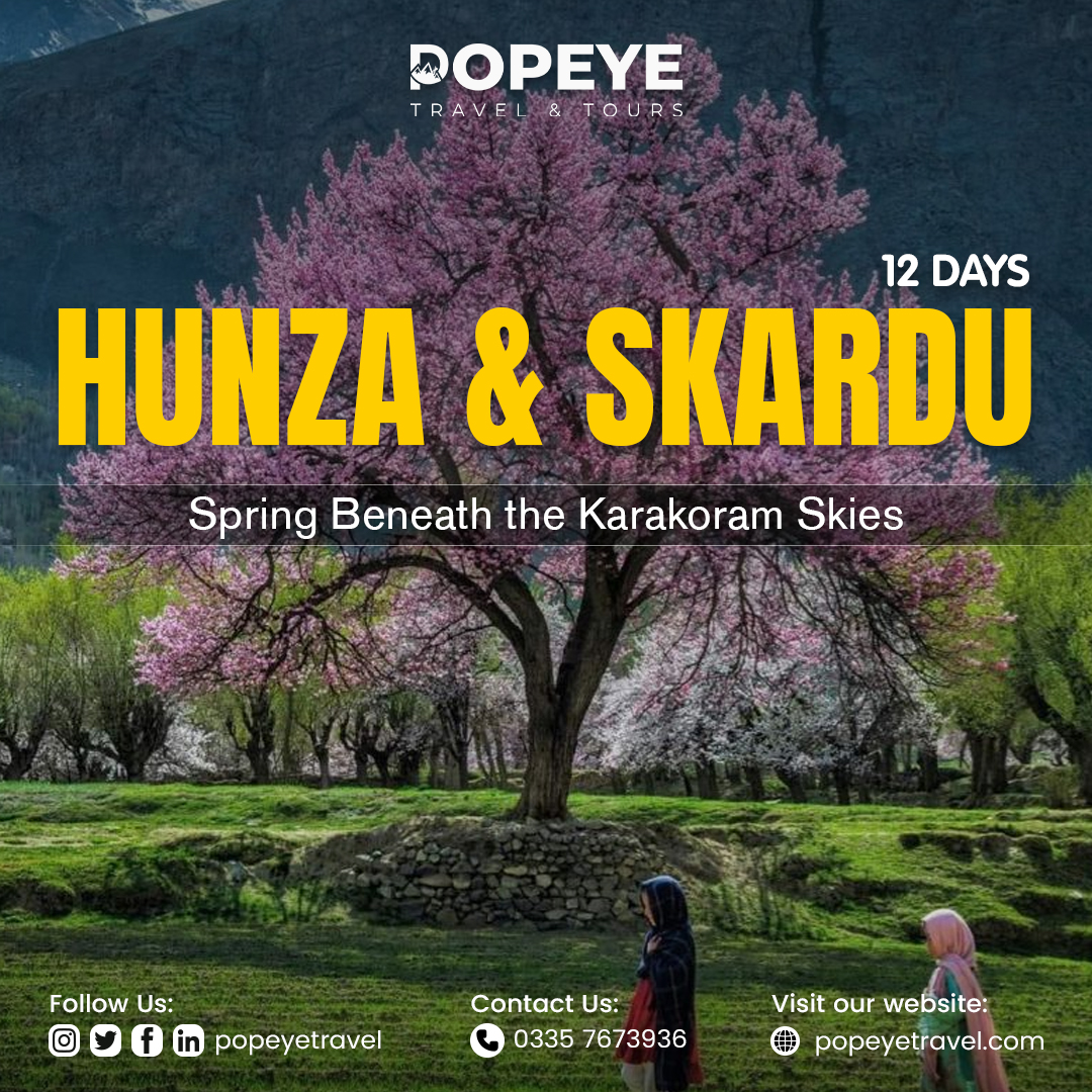 Popeye Travel and Tours