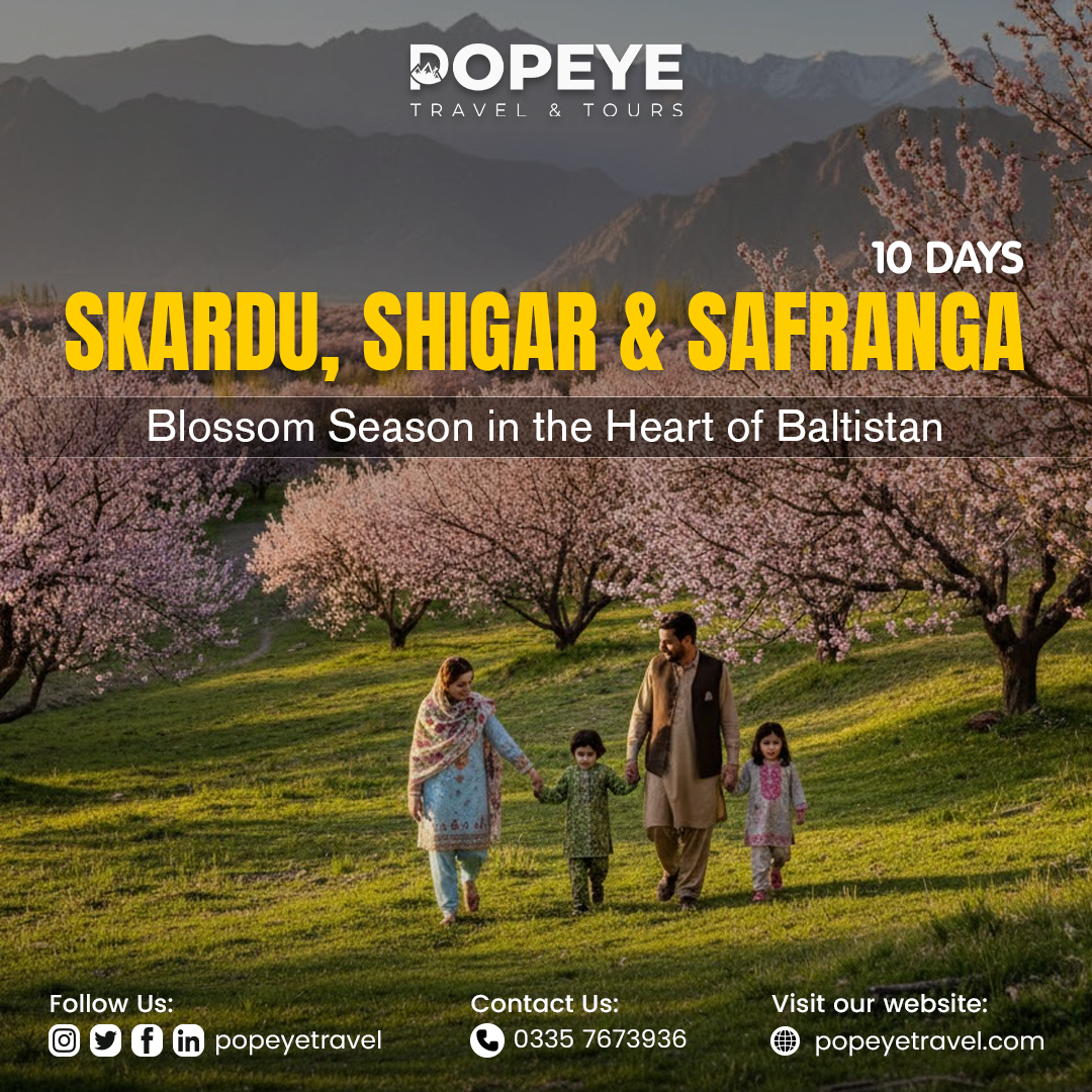 Popeye Travel and Tours